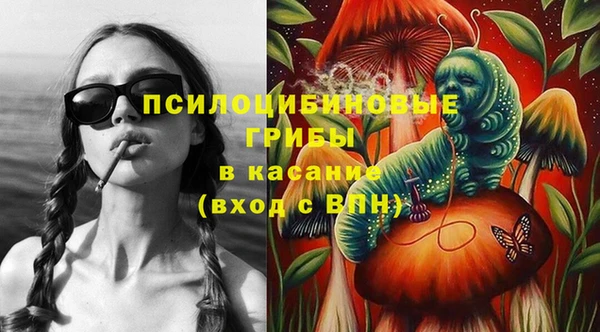 бошки Армянск